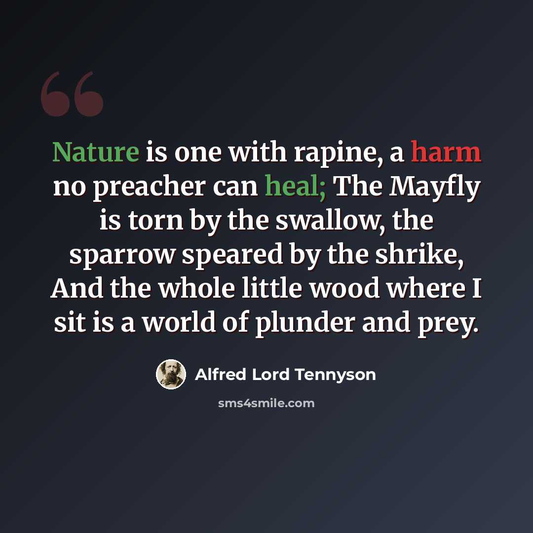 “Nature is one with rapine, a harm no preacher can heal; The Mayfly is torn by the swallow, the sparrow speared by the shrike, And the whole little wood where I sit is a world of plunder and prey.” quote by Alfred Lord Tennyson