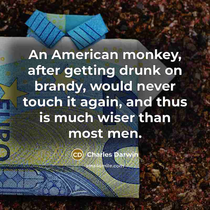 “An American monkey, after getting drunk on brandy, would never touch it again, and thus is much wiser than most men.” quote by Charles Darwin
