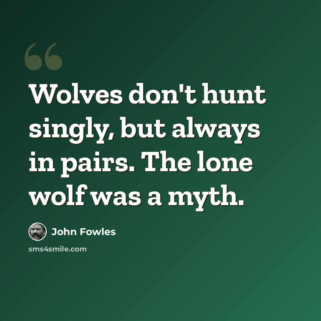 “Wolves don't hunt singly, but always in pairs. The lone wolf was a myth.” quote by John Fowles