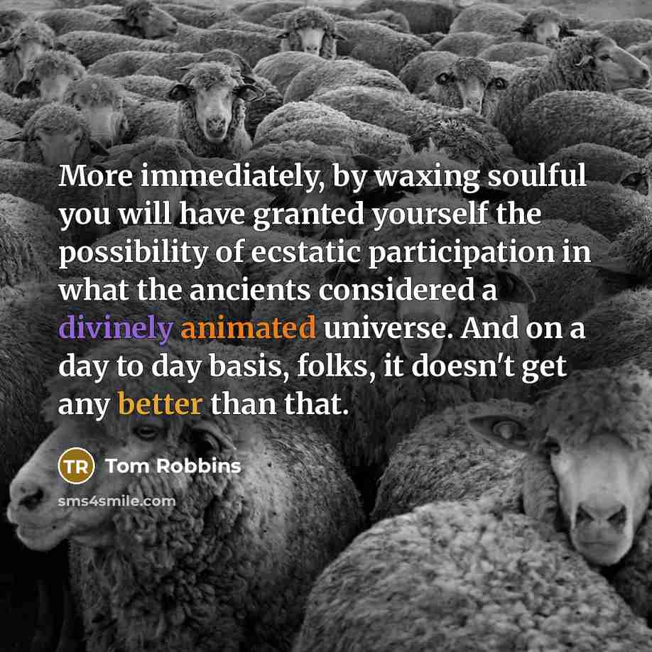 “More immediately, by waxing soulful you will have granted yourself the possibility of ecstatic participation in what the ancients considered a divinely animated universe. And on a day to day basis, folks, it doesn't get any better than that.” quote by Tom Robbins