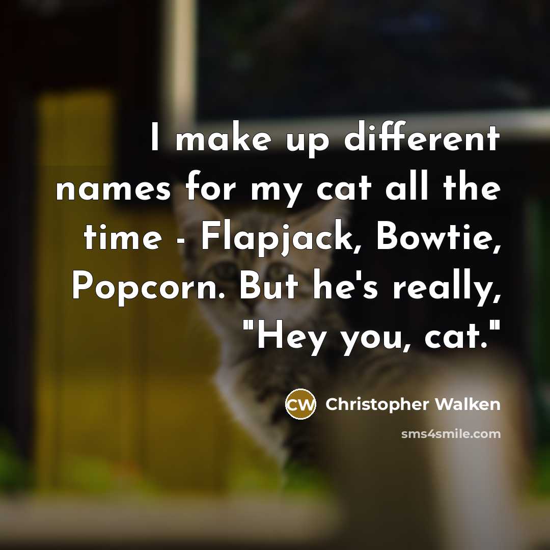 “I make up different names for my cat all the time - Flapjack, Bowtie, Popcorn. But he's really, "Hey you, cat."” quote by Christopher Walken