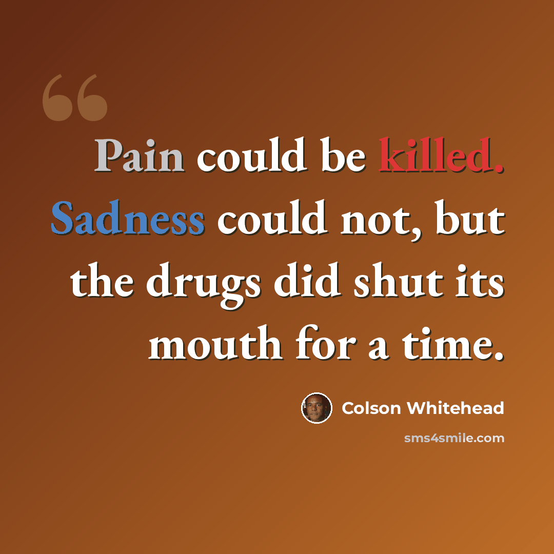 “Pain could be killed. Sadness could not, but the drugs did shut its mouth for a time.” quote by Colson Whitehead