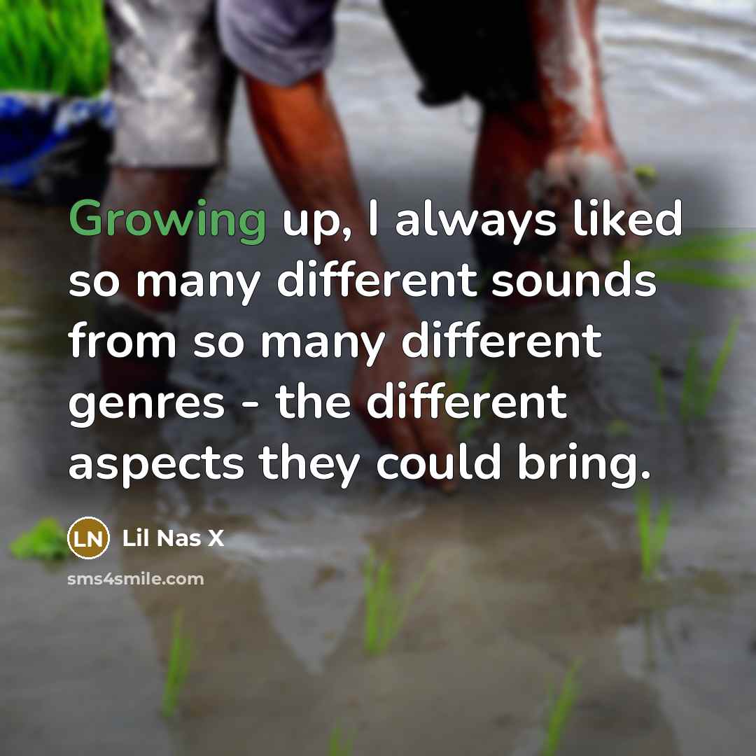“Growing up, I always liked so many different sounds from so many different genres - the different aspects they could bring.” quote by Lil Nas X
