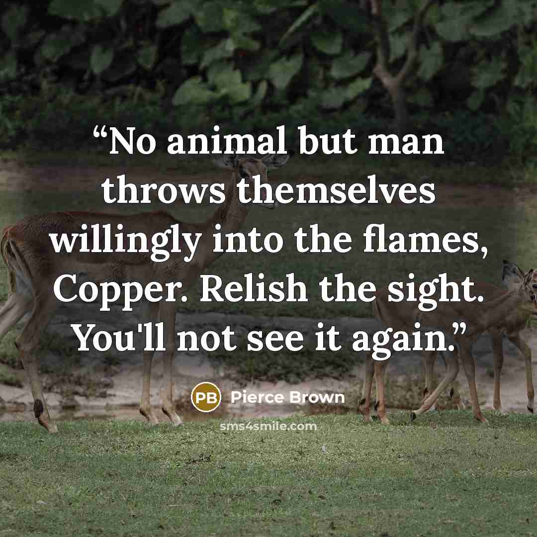 “No animal but man throws themselves willingly into the flames, Copper. Relish the sight. You'll not see it again.” quote by Pierce Brown