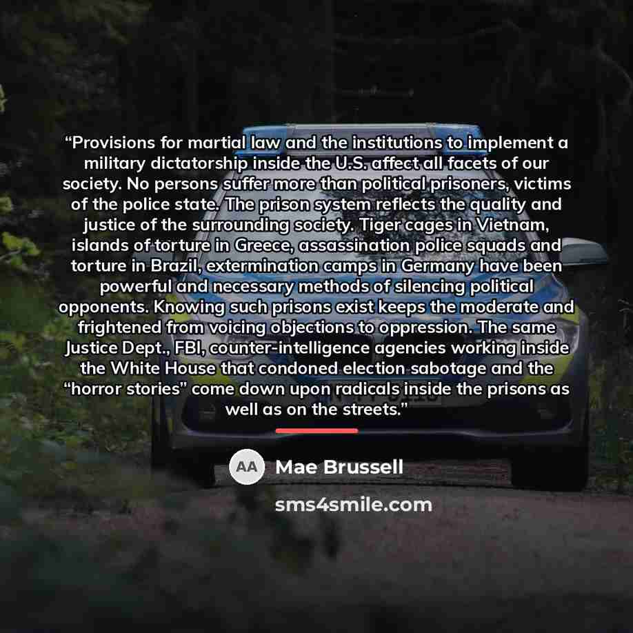 “Provisions for martial law and the institutions to implement a military dictatorship inside the U.S. affect all facets of our society. No persons suffer more than political prisoners, victims of the police state. The prison system reflects the quality and justice of the surrounding society. Tiger…” quote by Mae Brussell