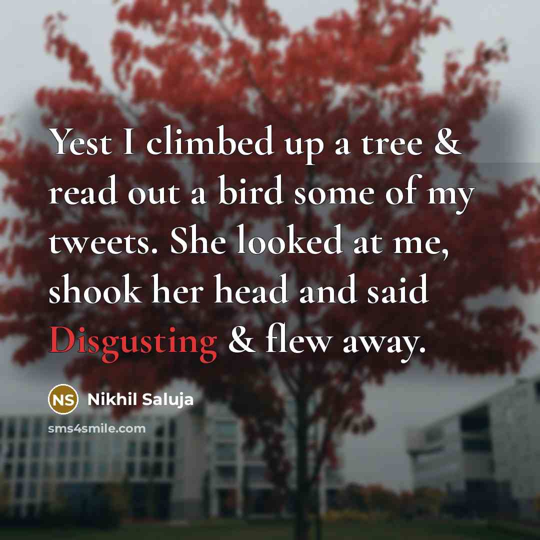 “Yest I climbed up a tree & read out a bird some of my tweets. She looked at me, shook her head and said Disgusting & flew away.” quote by Nikhil Saluja