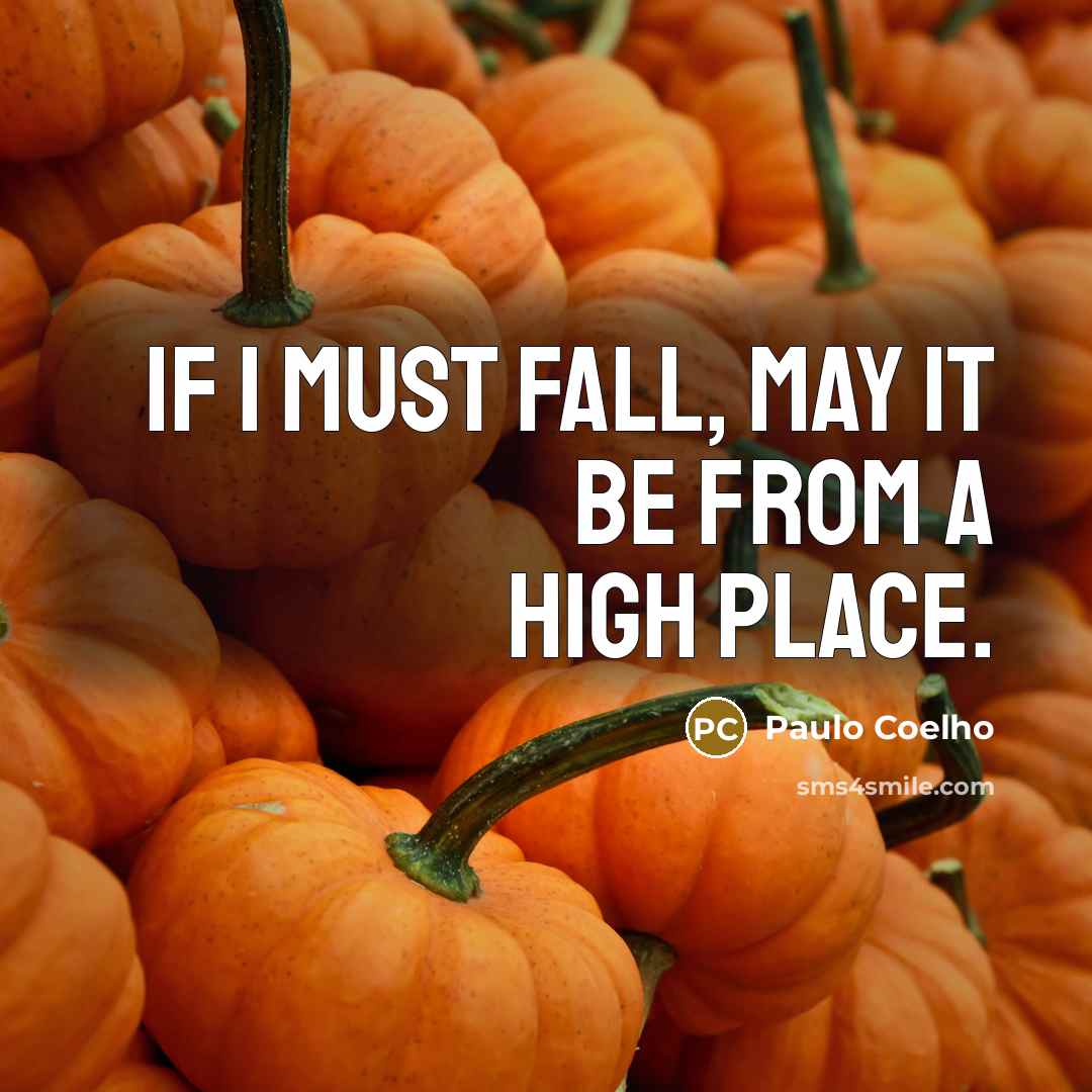 “If I must fall, may it be from a high place.” quote by Paulo Coelho