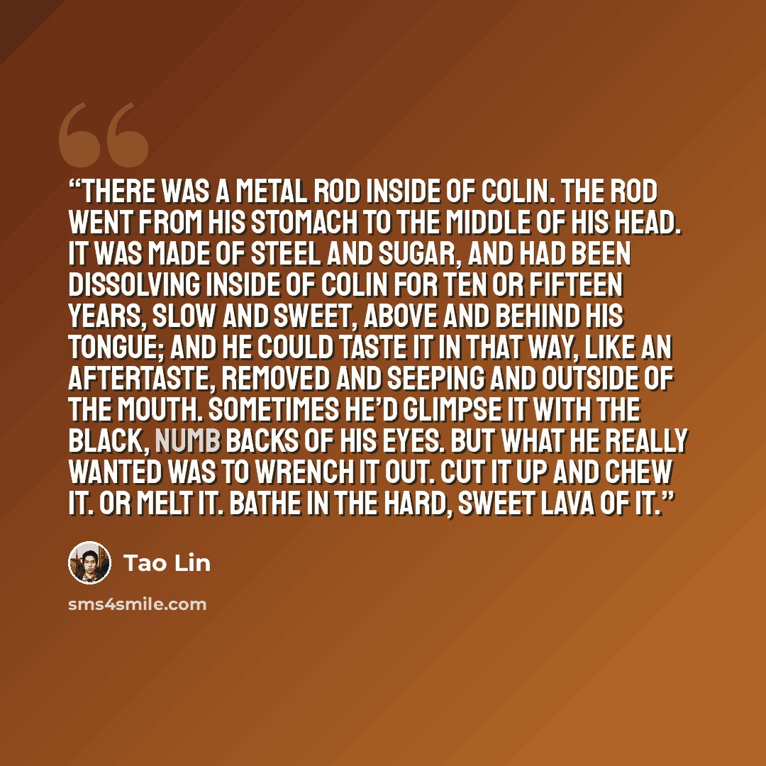 “There was a metal rod inside of Colin. The rod went from his stomach to the middle of his head. It was made of steel and sugar, and had been dissolving inside of Colin for ten or fifteen years, slow and sweet, above and behind his tongue; and he could taste it in that way, like an aftertaste…” quote by Tao Lin