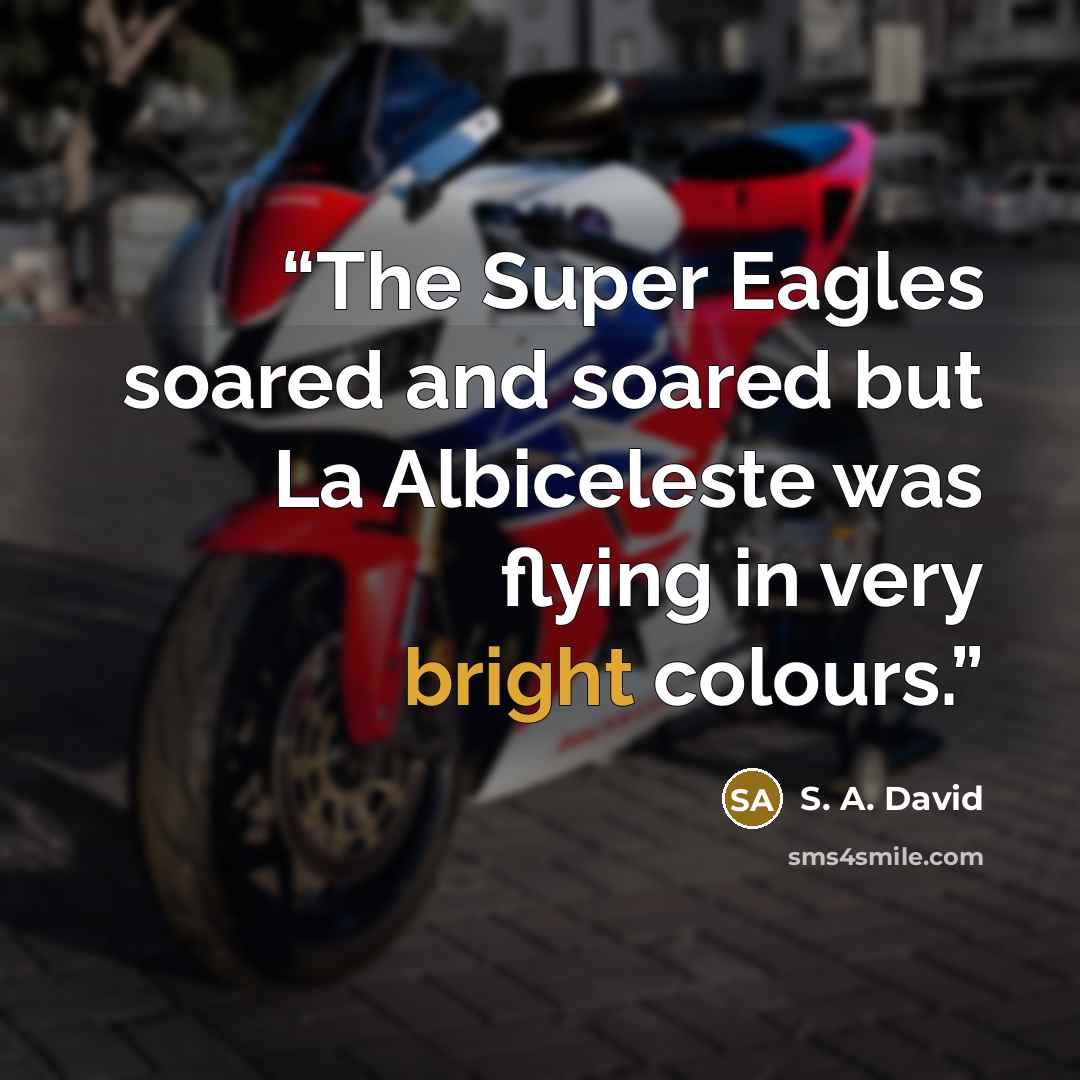 “The Super Eagles soared and soared but La Albiceleste was flying in very bright colours.” quote by S. A. David