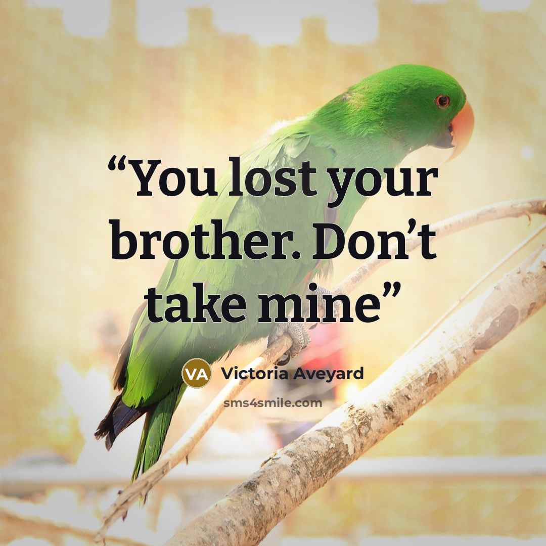 “You lost your brother. Don’t take mine” quote by Victoria Aveyard