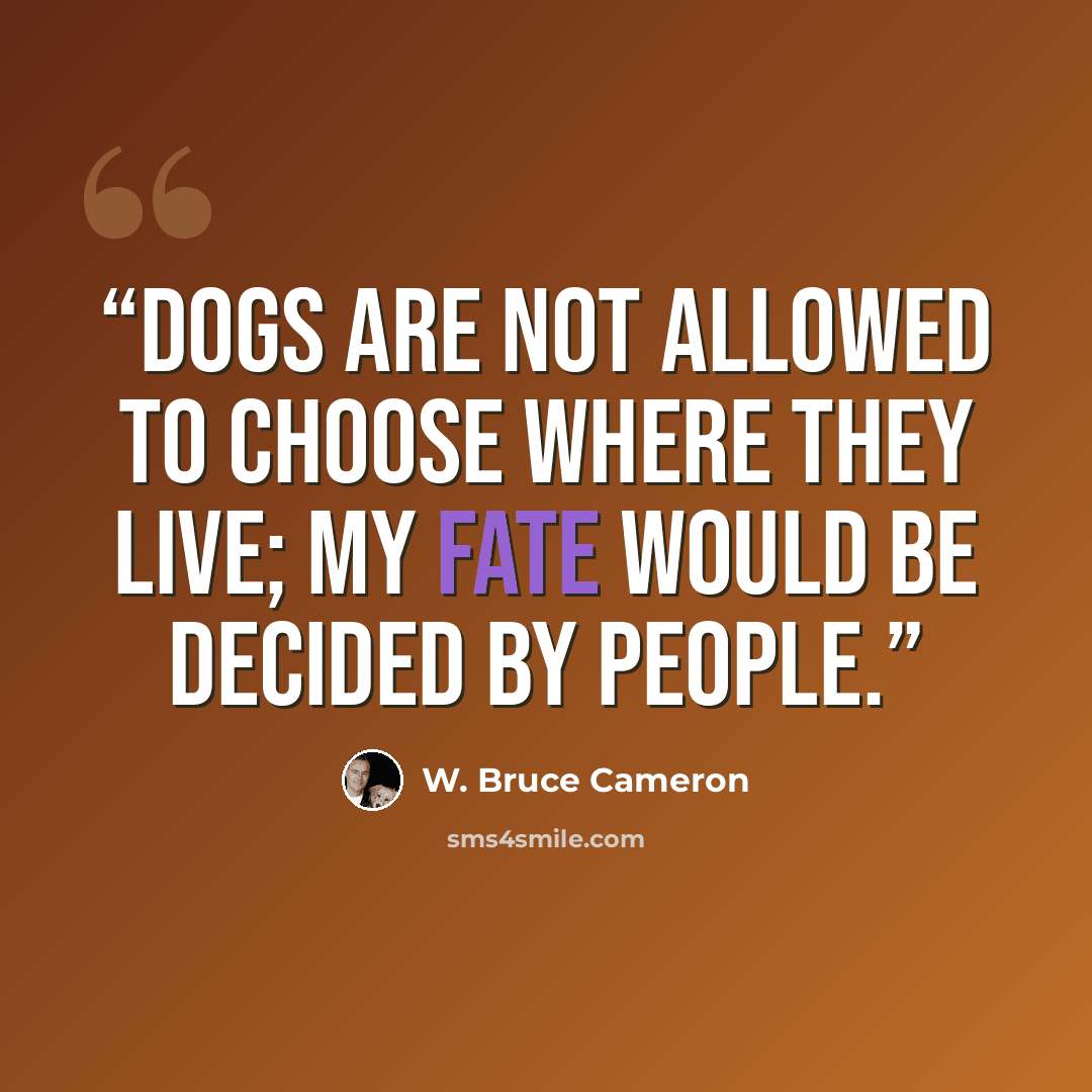 “Dogs are not allowed to choose where they live; my fate would be decided by people.” quote by W. Bruce Cameron