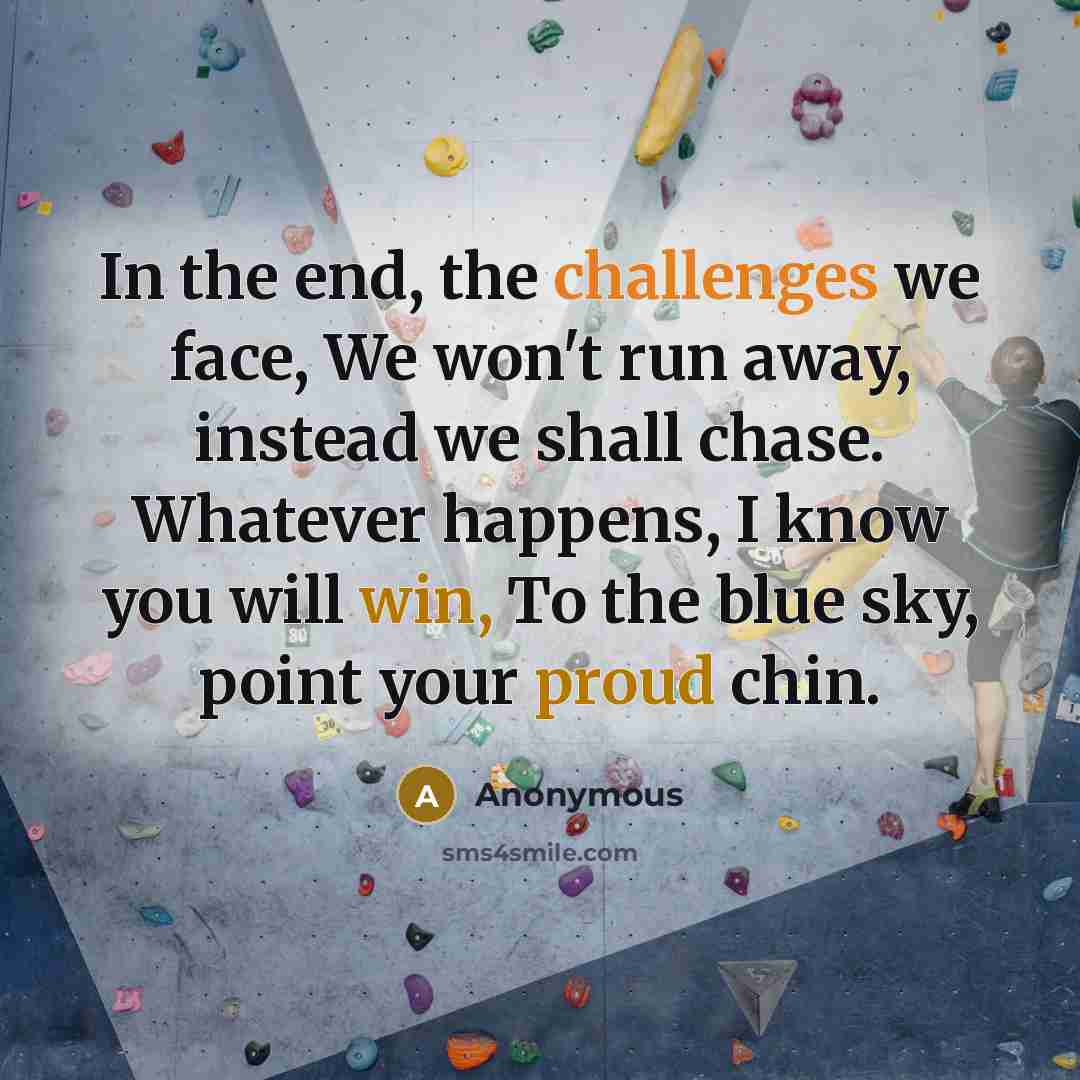 “In the end, the challenges we face, We won't run away, instead we shall chase. Whatever happens, I know you will win, To the blue sky, point your proud chin.” quote by Anonymous