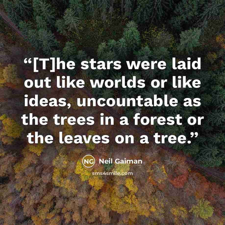 “[T]he stars were laid out like worlds or like ideas, uncountable as the trees in a forest or the leaves on a tree.” quote by Neil Gaiman