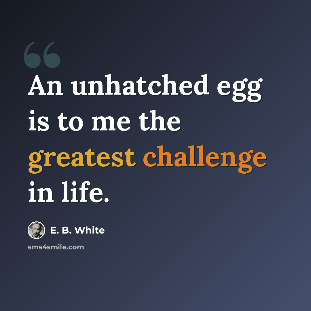 “An unhatched egg is to me the greatest challenge in life.” quote by E. B. White