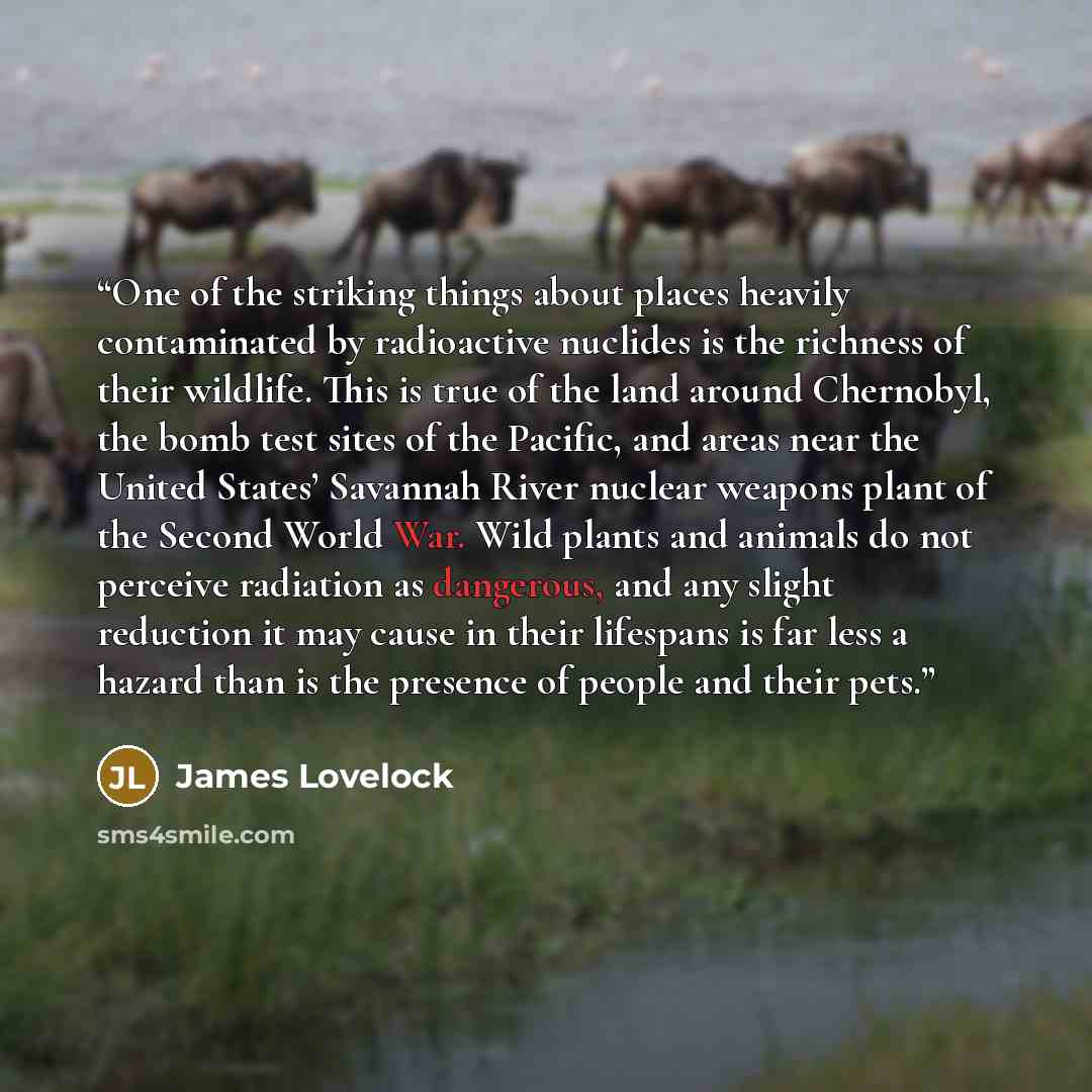 “One of the striking things about places heavily contaminated by radioactive nuclides is the richness of their wildlife. This is true of the land around Chernobyl, the bomb test sites of the Pacific, and areas near the United States’ Savannah River nuclear weapons plant of the Second World War…” quote by James Lovelock