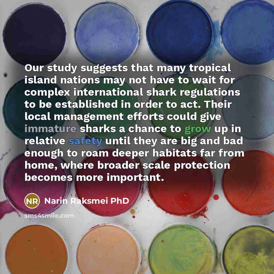 “Our study suggests that many tropical island nations may not have to wait for complex international shark regulations to be established in order to act. Their local management efforts could give immature sharks a chance to grow up in relative safety until they are big and bad enough to roam deeper…” quote by Narin Raksmei PhD