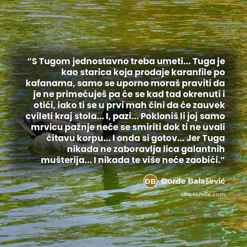 “S Tugom jednostavno treba umeti... Tuga je kao starica koja prodaje karanfile po kafanama, samo se uporno moraš praviti da je ne primećuješ pa će se kad tad okrenuti i otići, iako ti se u prvi mah čini da će zauvek cvileti kraj stola... I, pazi... Pokloniš li joj samo mrvicu pažnje neće se smiriti…” quote by Đorđe Balašević