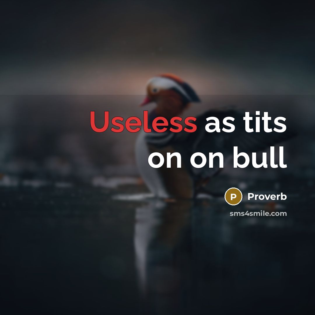 “Useless as tits on on bull” quote by Proverb