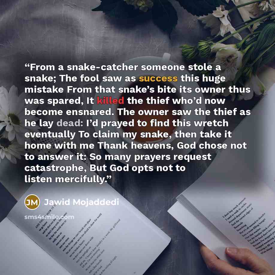 “From a snake-catcher someone stole a snake; The fool saw as success this huge mistake From that snake’s bite its owner thus was spared, It killed the thief who’d now become ensnared. The owner saw the thief as he lay dead: I’d prayed to find this wretch eventually To claim my snake, then take it…” quote by Jawid Mojaddedi