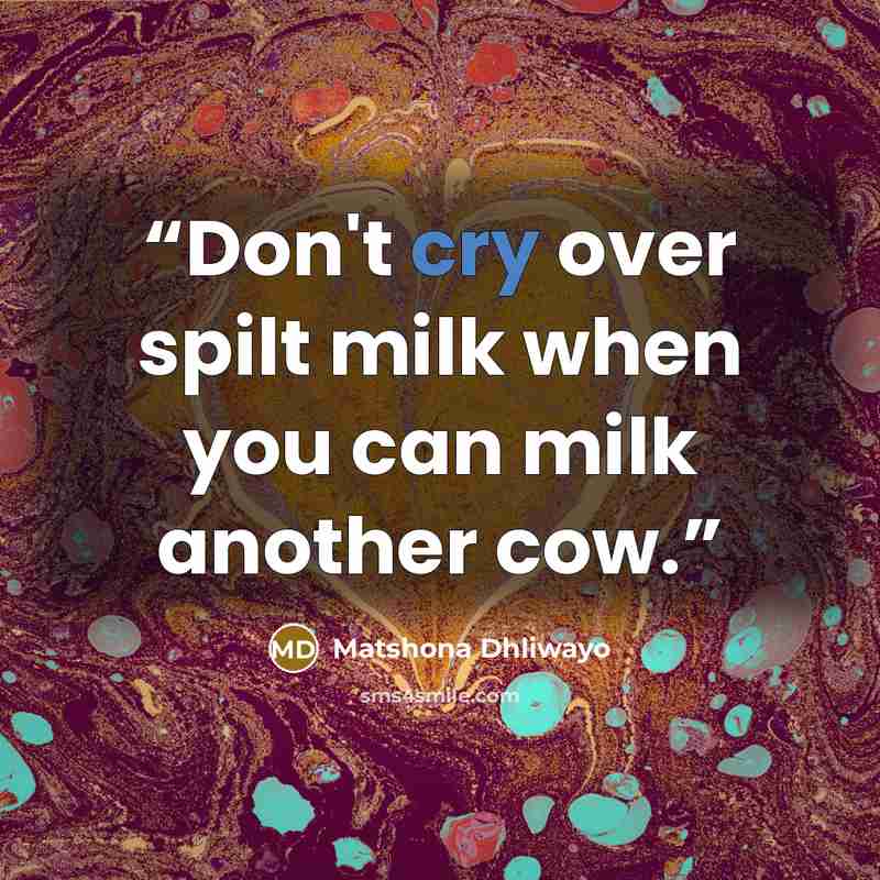 “Don't cry over spilt milk when you can milk another cow.” quote by Matshona Dhliwayo