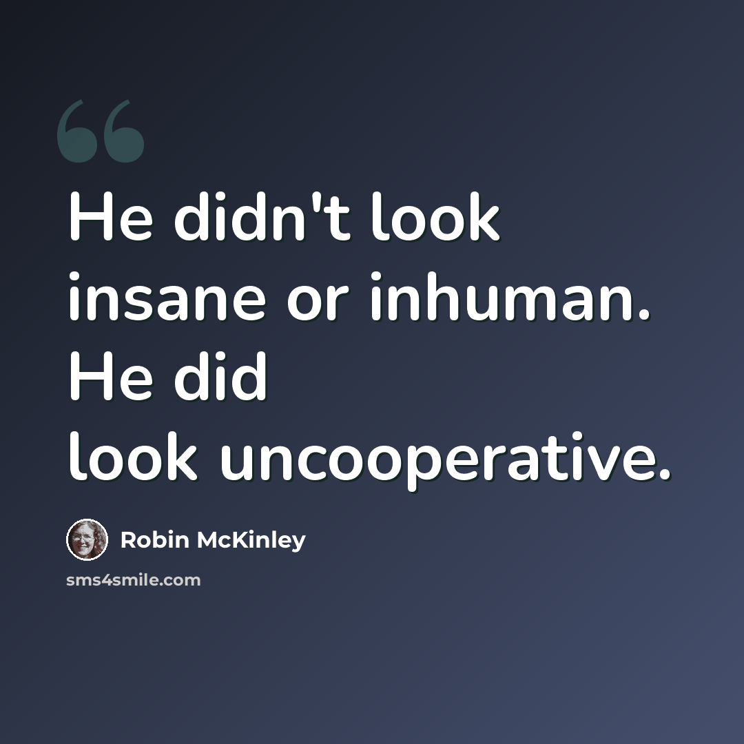 “He didn't look insane or inhuman. He did look uncooperative.” quote by Robin McKinley