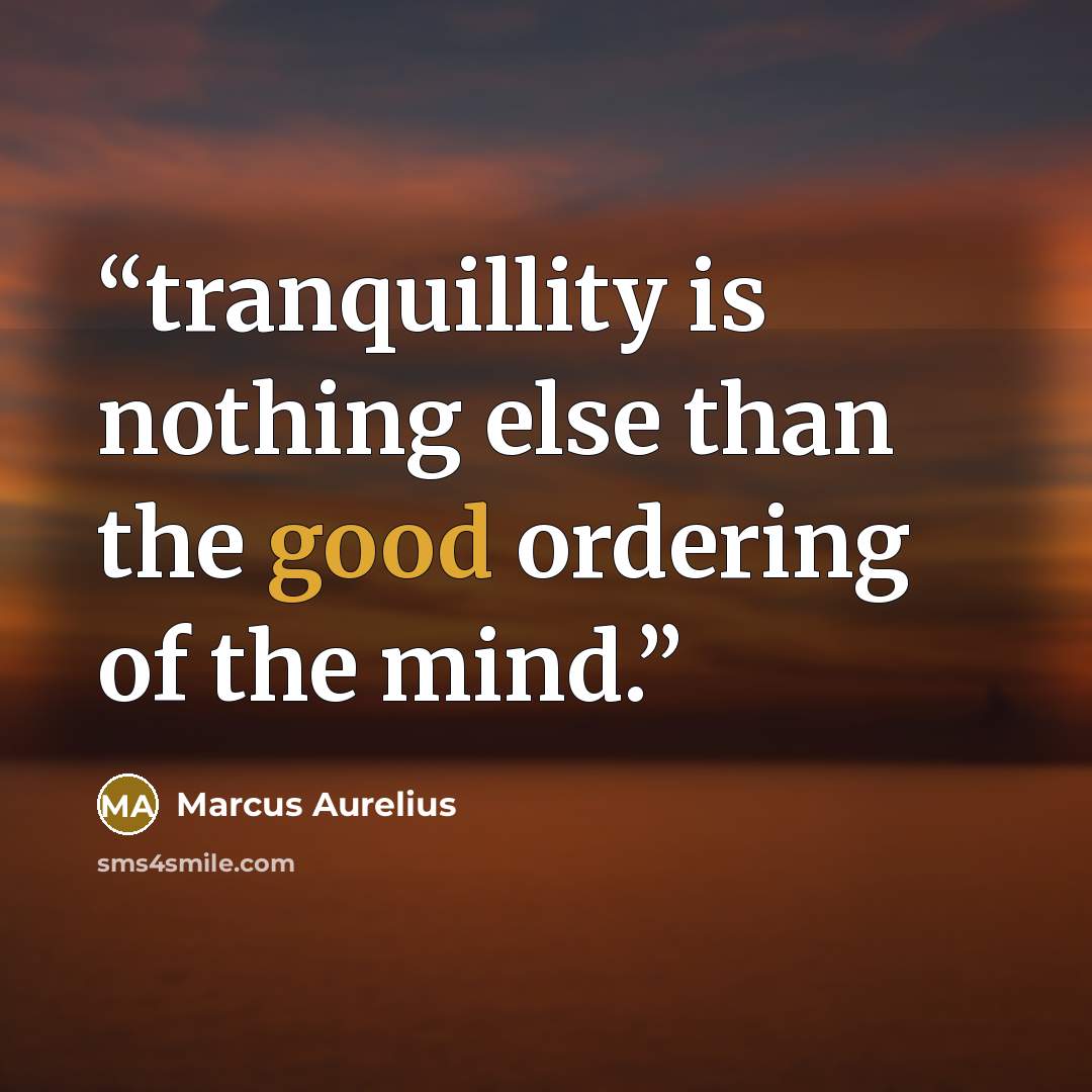 “tranquillity is nothing else than the good ordering of the mind.” quote by Marcus Aurelius