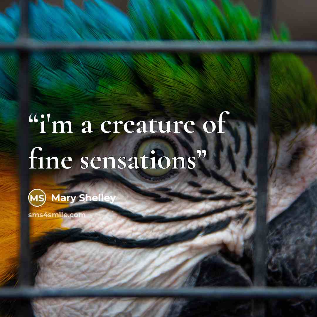 “i'm a creature of fine sensations” quote by Mary Shelley