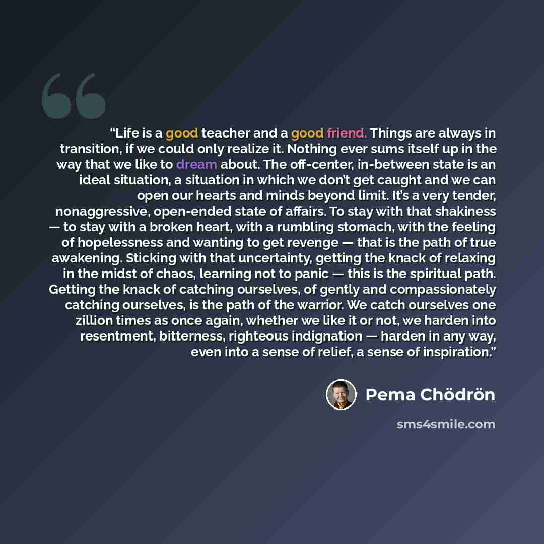“Life is a good teacher and a good friend. Things are always in transition, if we could only realize it. Nothing ever sums itself up in the way that we like to dream about. The off-center, in-between state is an ideal situation, a situation in which we don’t get caught and we can open our hearts…” quote by Pema Chödrön