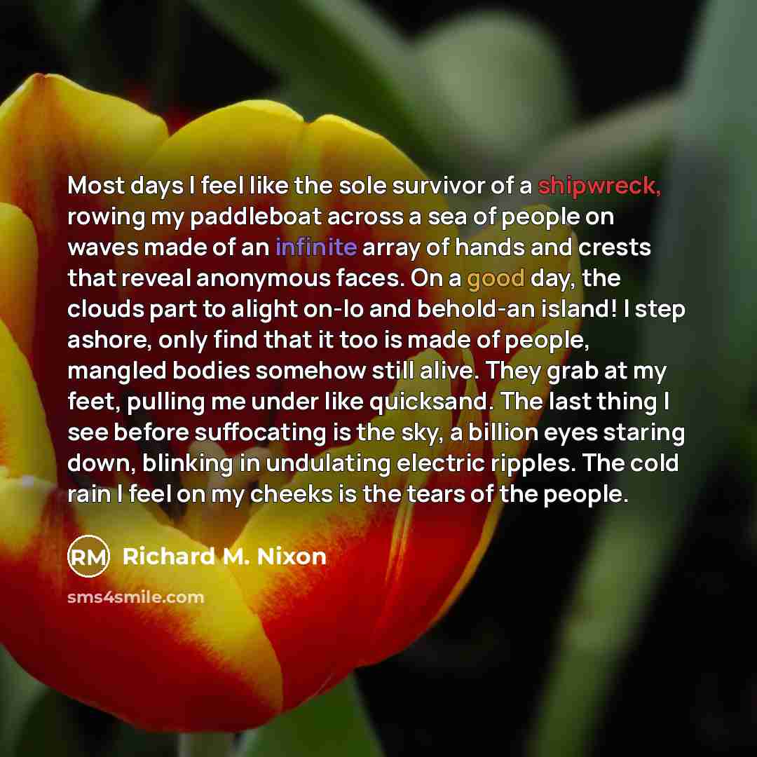 “Most days I feel like the sole survivor of a shipwreck, rowing my paddleboat across a sea of people on waves made of an infinite array of hands and crests that reveal anonymous faces. On a good day, the clouds part to alight on-lo and behold-an island! I step ashore, only find that it too is made…” quote by Richard M. Nixon