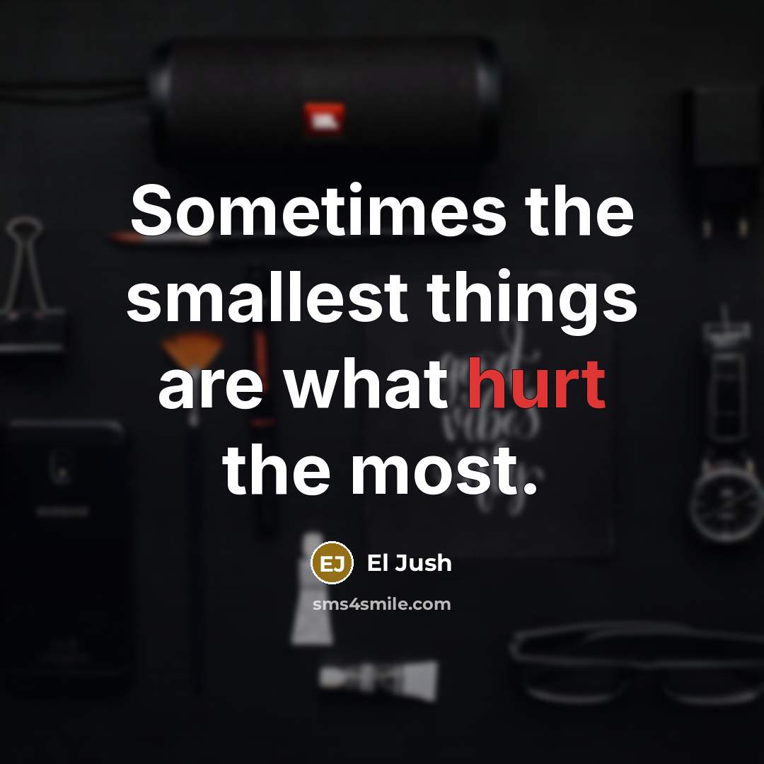 “Sometimes the smallest things are what hurt the most.” quote by El Jush
