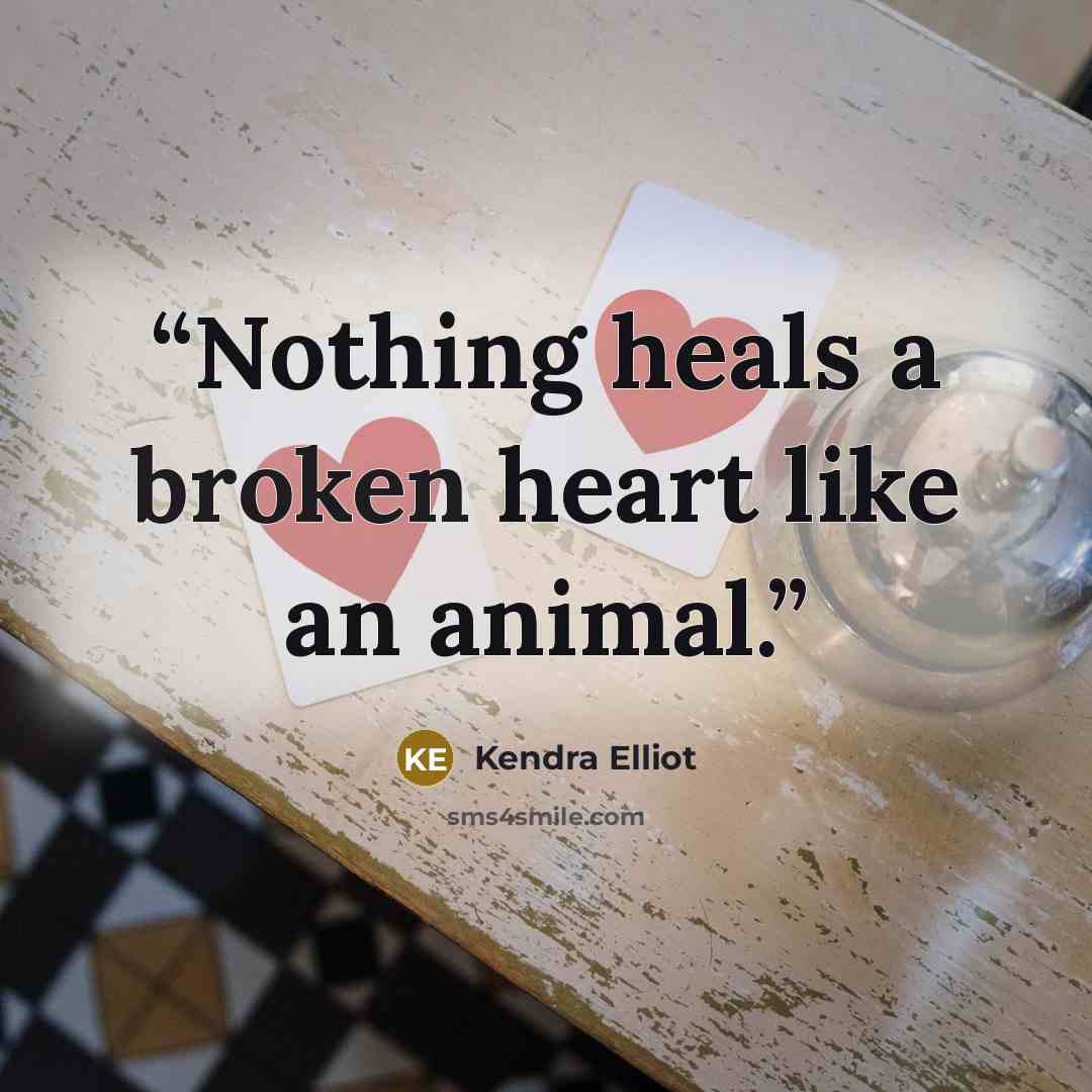 “Nothing heals a broken heart like an animal.” quote by Kendra Elliot