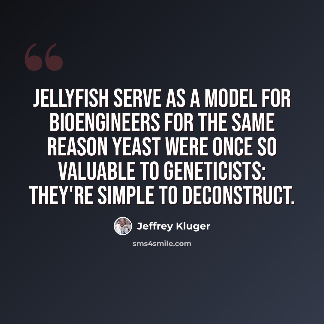 “Jellyfish serve as a model for bioengineers for the same reason yeast were once so valuable to geneticists: they're simple to deconstruct.” quote by Jeffrey Kluger