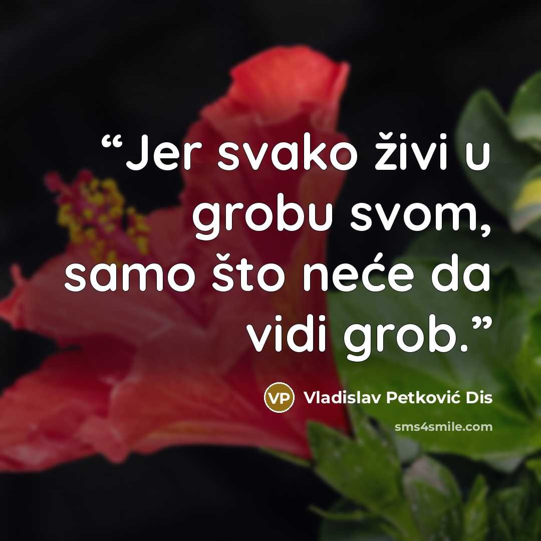 “Jer svako živi u grobu svom, samo što neće da vidi grob.” quote by Vladislav Petković Dis