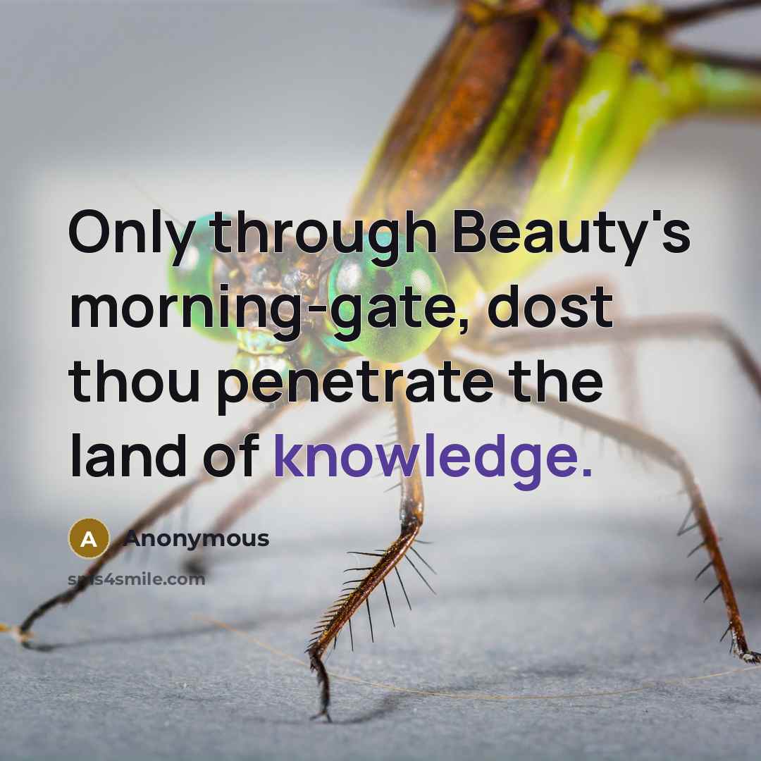 “Only through Beauty's morning-gate, dost thou penetrate the land of knowledge.” quote by Anonymous