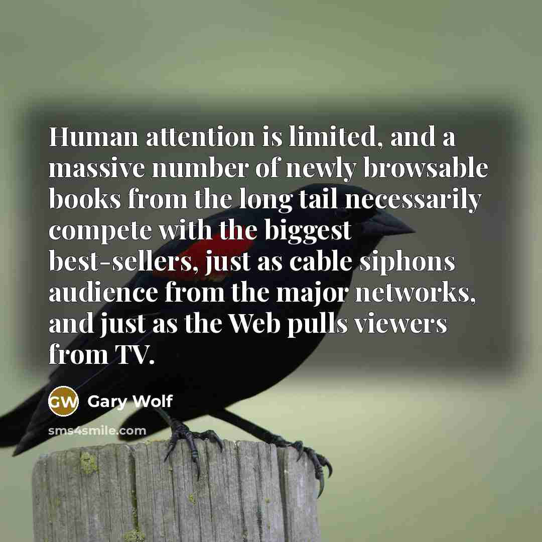 “Human attention is limited, and a massive number of newly browsable books from the long tail necessarily compete with the biggest best-sellers, just as cable siphons audience from the major networks, and just as the Web pulls viewers from TV.” quote by Gary Wolf