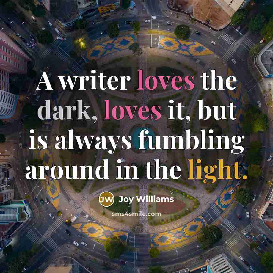 “A writer loves the dark, loves it, but is always fumbling around in the light.” quote by Joy Williams