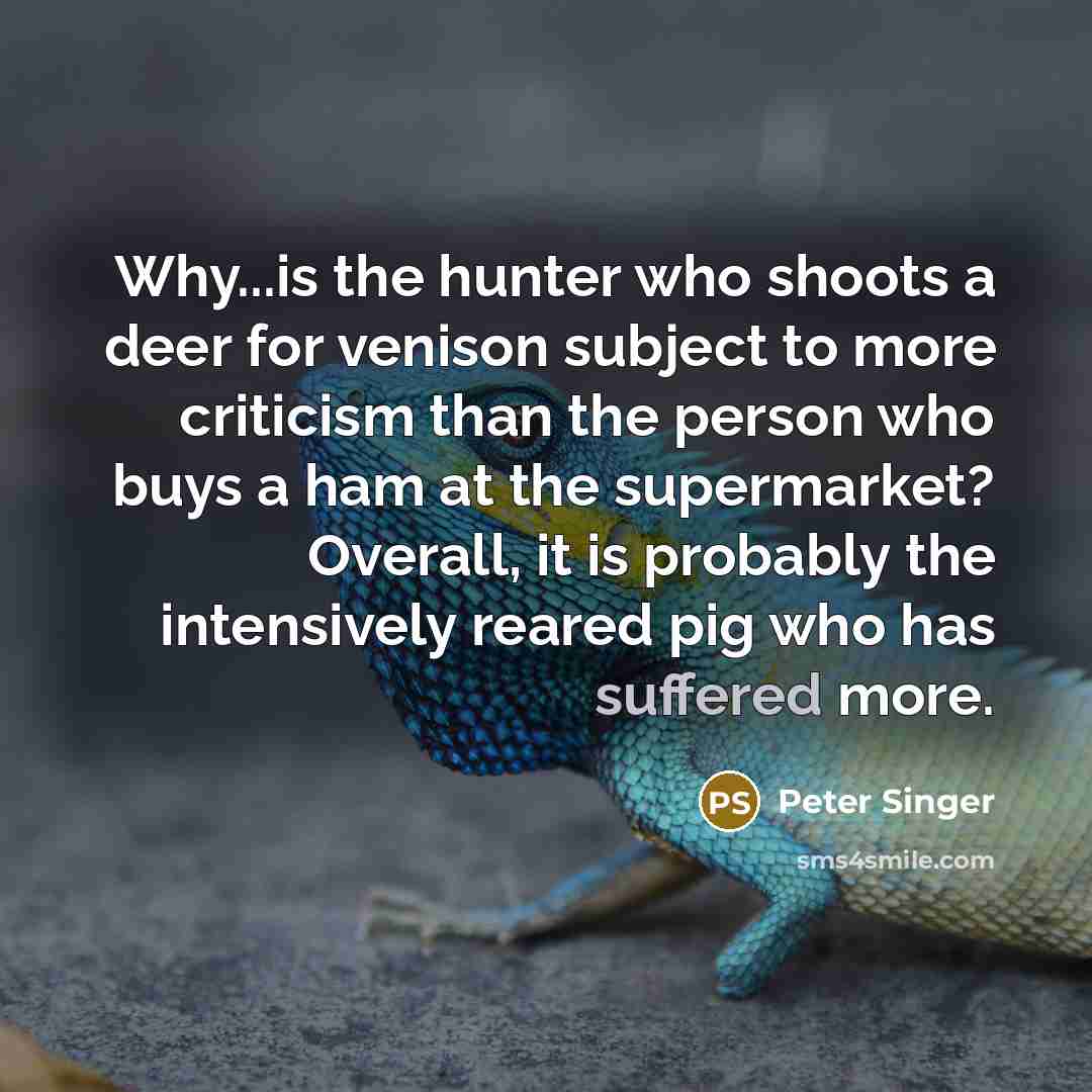 “Why...is the hunter who shoots a deer for venison subject to more criticism than the person who buys a ham at the supermarket? Overall, it is probably the intensively reared pig who has suffered more.” quote by Peter Singer