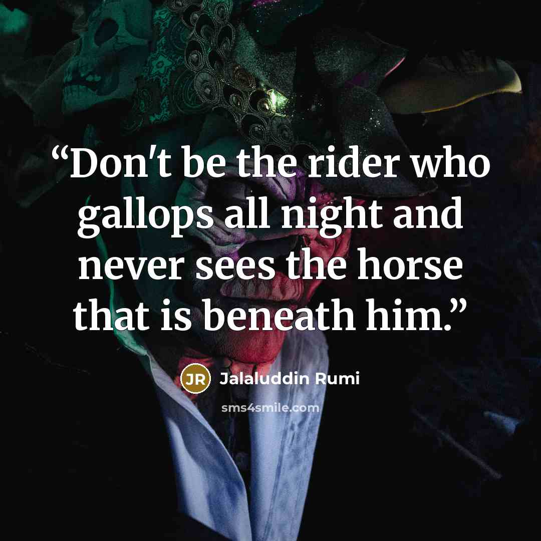 “Don't be the rider who gallops all night and never sees the horse that is beneath him.” quote by Jalaluddin Rumi