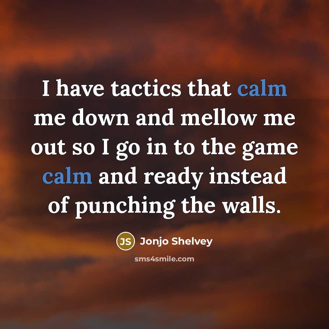 “I have tactics that calm me down and mellow me out so I go in to the game calm and ready instead of punching the walls.” quote by Jonjo Shelvey