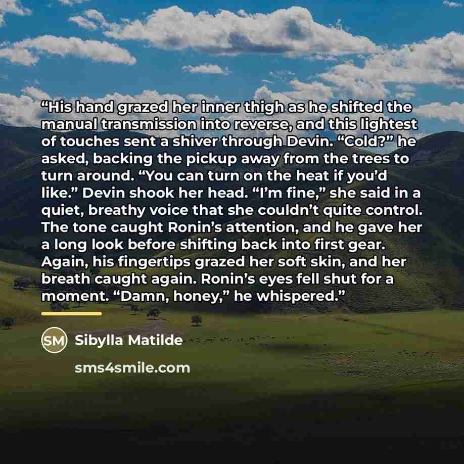 “His hand grazed her inner thigh as he shifted the manual transmission into reverse, and this lightest of touches sent a shiver through Devin. “Cold?” he asked, backing the pickup away from the trees to turn around. “You can turn on the heat if you’d like.” Devin shook her head. “I’m fine,” she…” quote by Sibylla Matilde