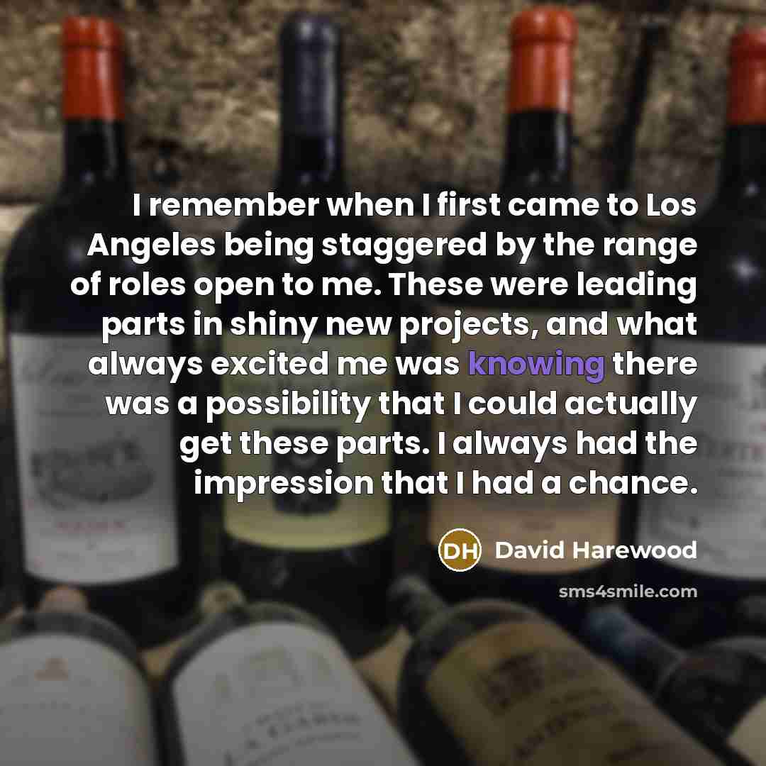 “I remember when I first came to Los Angeles being staggered by the range of roles open to me. These were leading parts in shiny new projects, and what always excited me was knowing there was a possibility that I could actually get these parts. I always had the impression that I had a chance.” quote by David Harewood