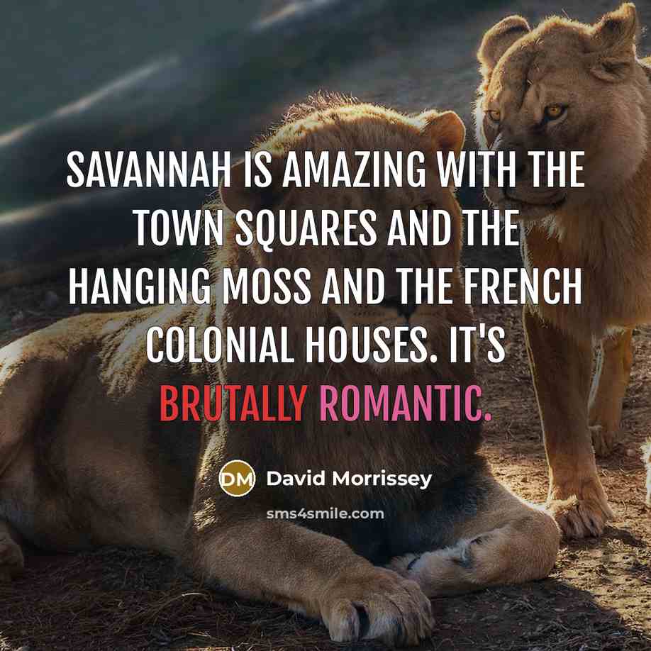 “Savannah is amazing with the town squares and the hanging moss and the French Colonial houses. It's brutally romantic.” quote by David Morrissey