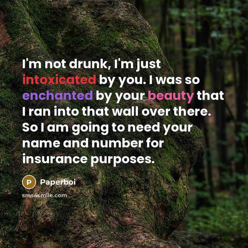 “I'm not drunk, I'm just intoxicated by you. I was so enchanted by your beauty that I ran into that wall over there. So I am going to need your name and number for insurance purposes.” quote by Paperboi