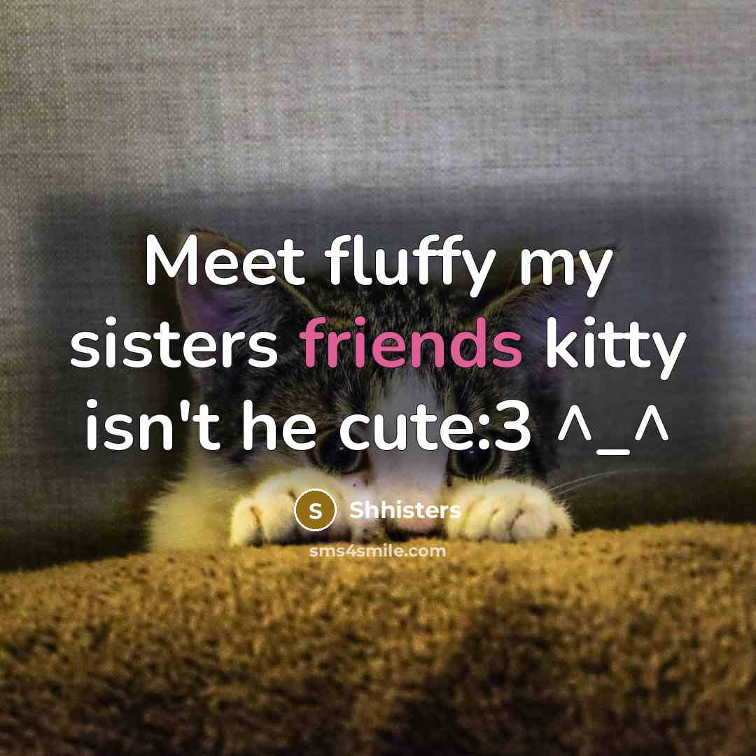 “Meet fluffy my sisters friends kitty isn't he cute:3 ^_^” quote by Shhisters