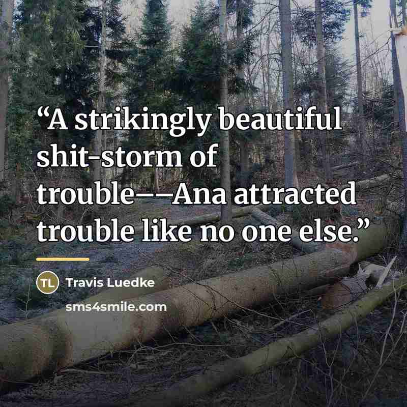 “A strikingly beautiful shit-storm of trouble––Ana attracted trouble like no one else.” quote by Travis Luedke