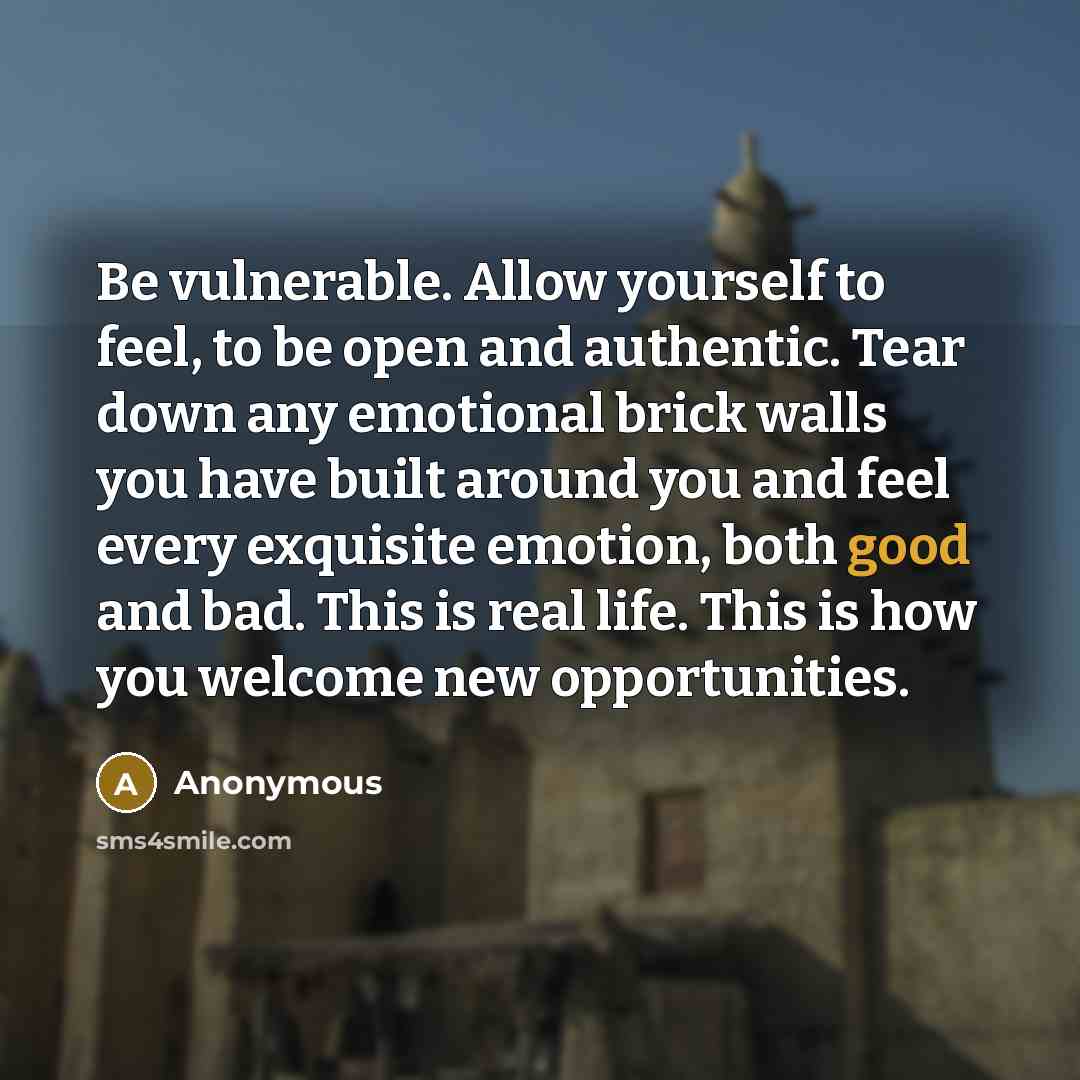 “Be vulnerable. Allow yourself to feel, to be open and authentic. Tear down any emotional brick walls you have built around you and feel every exquisite emotion, both good and bad. This is real life. This is how you welcome new opportunities.” quote by Anonymous