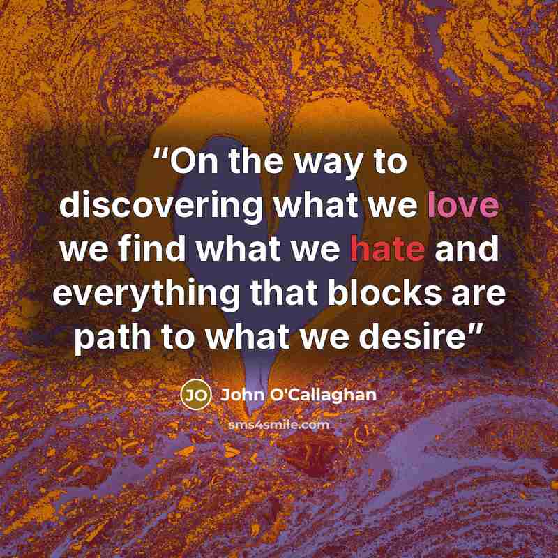 “On the way to discovering what we love we find what we hate and everything that blocks are path to what we desire” quote by John O'Callaghan