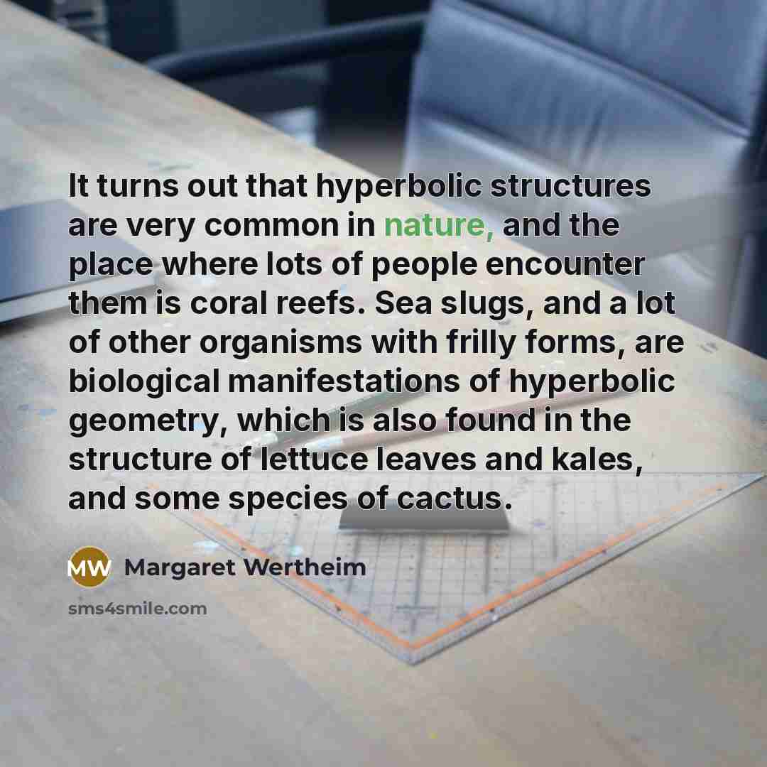 “It turns out that hyperbolic structures are very common in nature, and the place where lots of people encounter them is coral reefs. Sea slugs, and a lot of other organisms with frilly forms, are biological manifestations of hyperbolic geometry, which is also found in the structure of lettuce…” quote by Margaret Wertheim