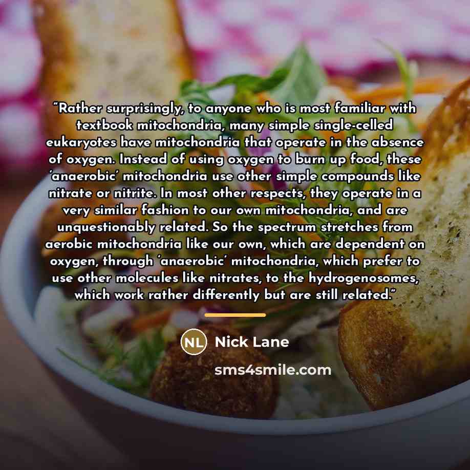 “Rather surprisingly, to anyone who is most familiar with textbook mitochondria, many simple single-celled eukaryotes have mitochondria that operate in the absence of oxygen. Instead of using oxygen to burn up food, these ‘anaerobic’ mitochondria use other simple compounds like nitrate or nitrite…” quote by Nick Lane