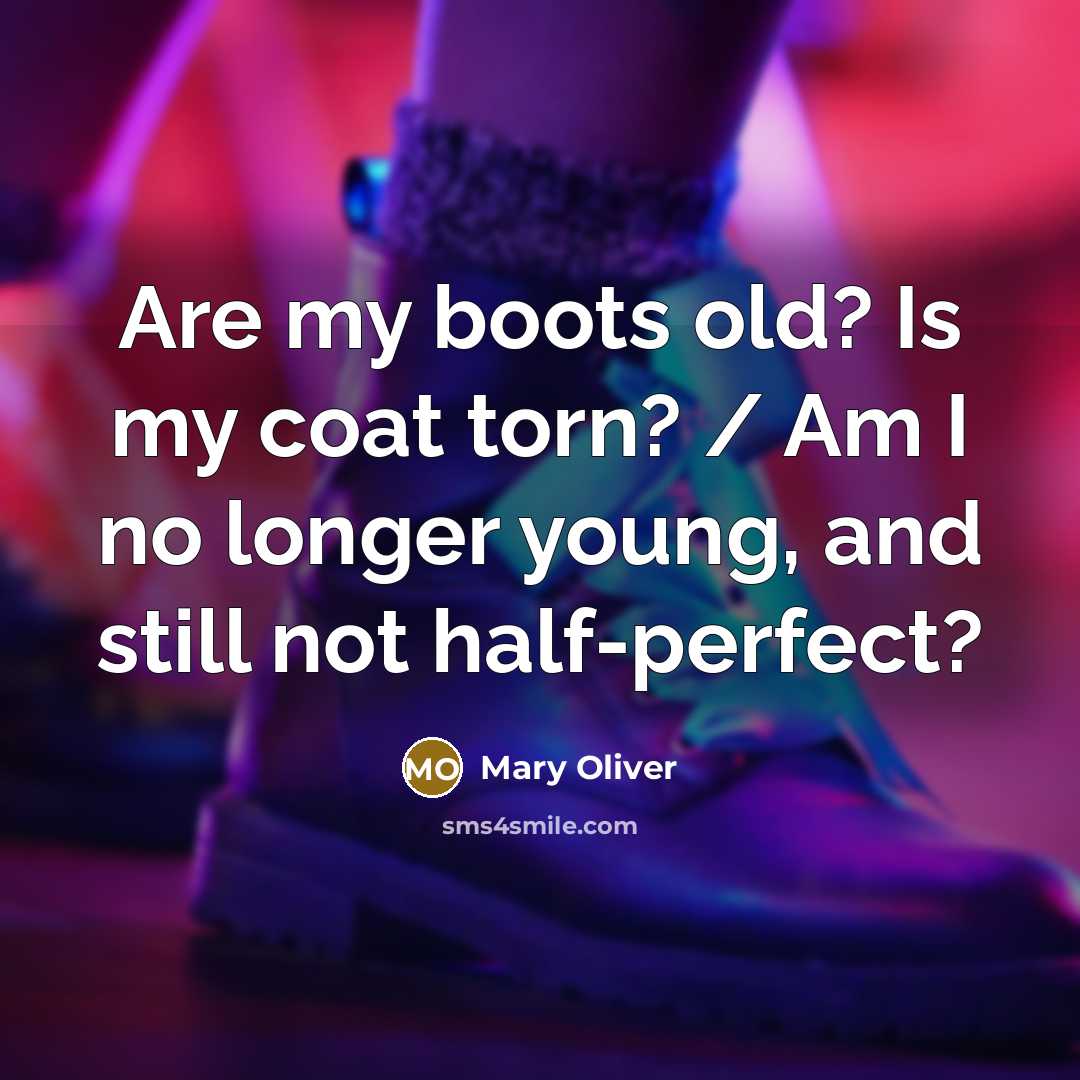 “Are my boots old? Is my coat torn? / Am I no longer young, and still not half-perfect?” quote by Mary Oliver
